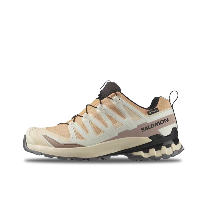 Salomon XA Pro 3D V9 GTX: A lo - Salomon Shoes Xa Pro 3D ulasan dan harga