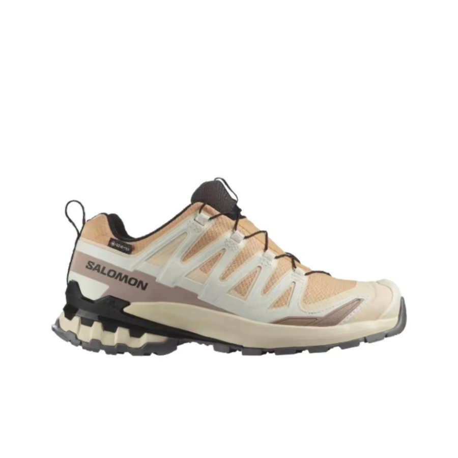 Salomon XA Pro 3D V9 GTX: A lo - Salomon Shoes Xa Pro 3D ulasan dan harga