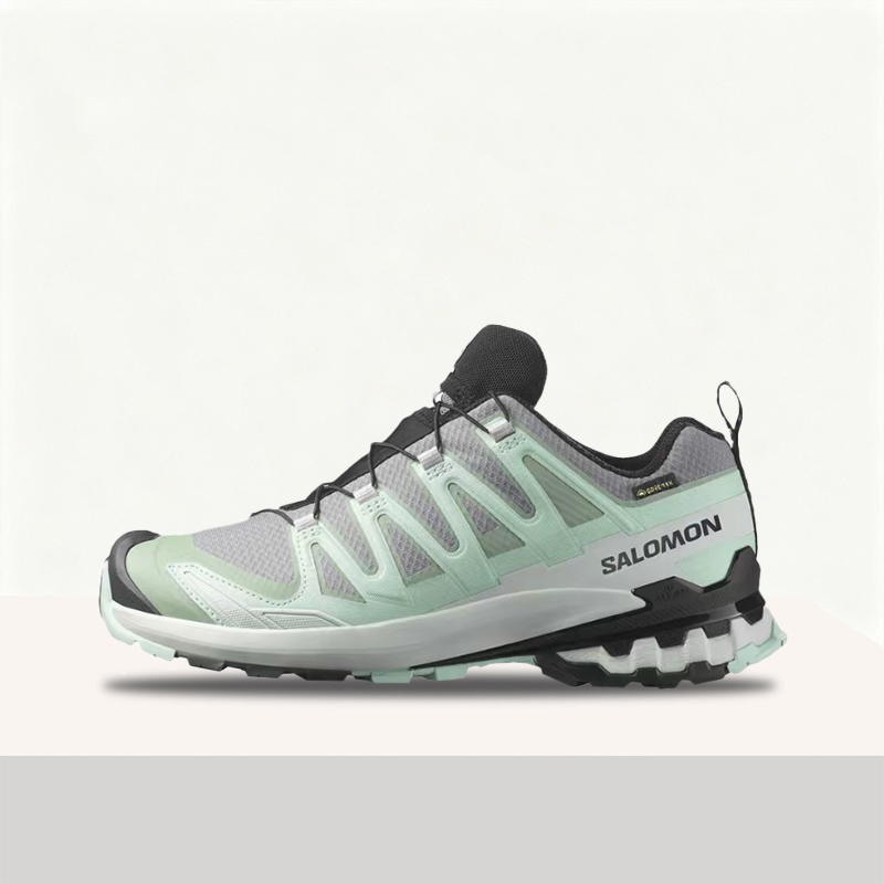 Salomon XA Pro 3D V9 GTX: Styl - Salomon Shoes Xa Pro 3D ulasan dan harga