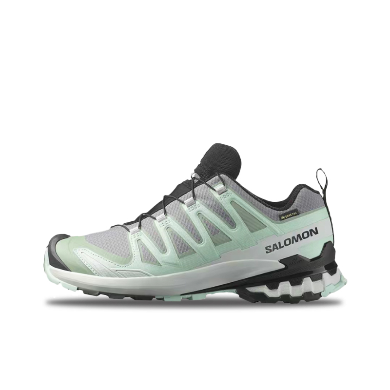 Salomon XA Pro 3D V9 GTX: Styl - Salomon Shoes Xa Pro 3D ulasan dan harga